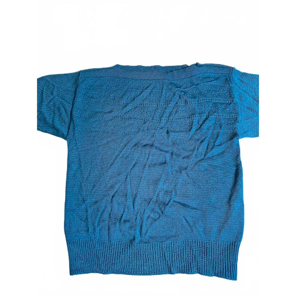 Y2K Panther Cropped Knit Sweater Top Teal